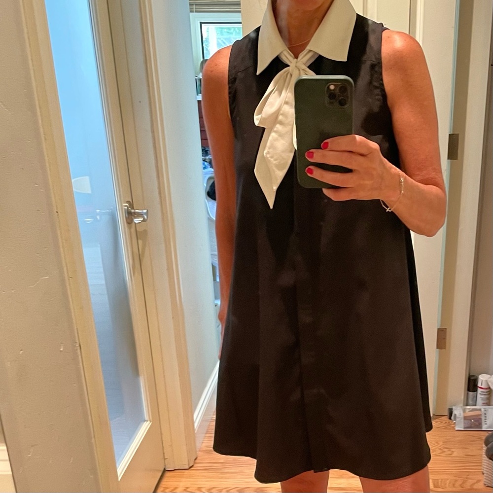 Black & White A line Shift Dress